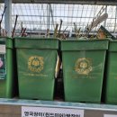대림 원예종묘-유럽 할미꽃, 벨 클레마티스, 앵두 나무 온라인 구매 후기
