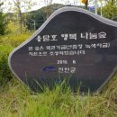 진안복권