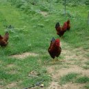 자유시간 이미지