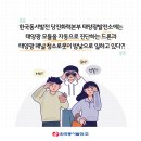 동서일태양광발전소 네이버블로그