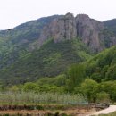 용연공원(도로변) 이미지