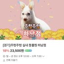 과천타워~새서울쇼핑 | [아기랑 나들이]하남 실내 동물원 주렁주렁 방문후기 : 아기랑 스타필드 근처 가볼만한 곳