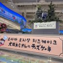 오사카몰 | 용산 아이파크몰 오사카 오지상 치즈케이크 솔직 후기