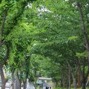 연산초교정문 이미지