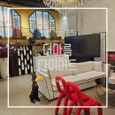 더마름 다이어트 목동점 이미지