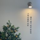 지구에서 너뿐 이미지