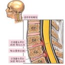 유성건기 이미지