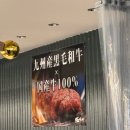HAKATA 요약본 ‘존크호텔 / 키와미야 함바그 / 이치란 라멘 / 하라미타스 야키니쿠 / 히바치 야키토리‘