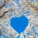 해남쌈밥 이미지