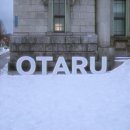 감성짱급수종이접기 | ❄️ 12월 삿포로 여행 2일차