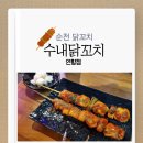 [순천 닭꼬치]간식으로도 좋고 술안주로도 좋은, 수내닭꼬치 연향점
