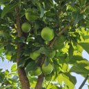 아침햇살 민박 이미지