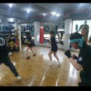 수원동양복싱 이미지