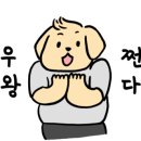 쇼크 수완점 이미지