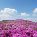 5월25일 토요무박 백두대간 26회차 소백산주능선 이미지