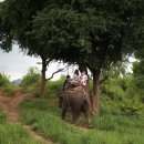 클럽 몬스터 (Club Monster) 이미지