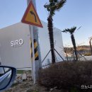 카페시로 이미지