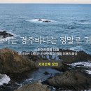 경주시티투어천마관광 이미지