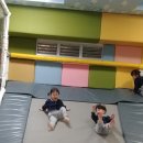 키크는 나무 이미지