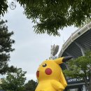 합천야구장 1구장 | 부산 사직야구장 직관｜사직야구장 1루 외야석 직관후기/사직구장 925블록 7열 시야