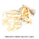 한방선생 OSEN