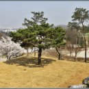 명수목장 네이버블로그