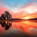 두물머리 이미지