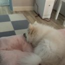 올다람 이미지