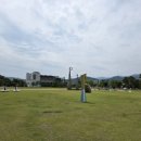 생명과 공존의 숲( 이미지