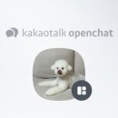 스튜디오지호