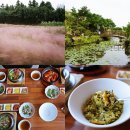 스튜디오연옥 | 제주 송당동화마을 핑크뮬리 명소 근처 제주도 솥밥 맛집 함덕 연옥 방문 후기