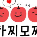 더 하찌 이미지