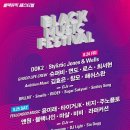 블랙뮤직 콘서트 이미지