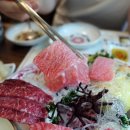 효탄新참치