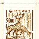 아니마메아 (anima mea) | 성가대 특송(4) Sicut Cervus