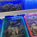 평택조개구이무한리필 이미지