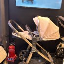 픽셀텍 | 베이비하우스 파주, 오이스터3 쉘핑크/맥시코시 미카프로에코/폴레드픽셀 구매후기