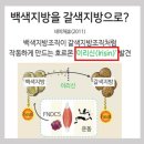 더라이프헬스PT 이미지