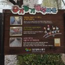 동촌역사로3길 | (여행) 대구 동구 벚꽃 명소 - 옹기종기 행복마을...힐링을 함께 할 수 있는 곳 - 동촌역사 작은 도서관