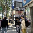 서울 을지로 맛집 &#39;올디스타코;oldies taco&#39; 주말 오픈런 후기 (1시간 만에 먹었음..)