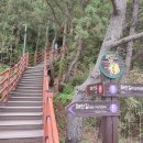 맹방관광지 이미지