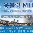 스위스투어 이미지
