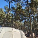 장항농협주유소 이미지