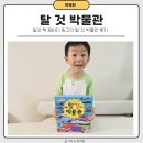 탈것 책 윙바디 윙고의 탈 것 박물관 후기
