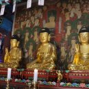 영천 봉림사 영산회상도 및 복장유물 이미지