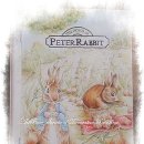Peter Rabbit 이미지