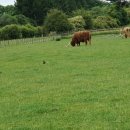 노천농장 이미지