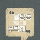 단국대 도솔태권도 이미지