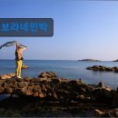 보라펜션민박 이미지