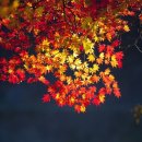 물소리바람소리 이미지